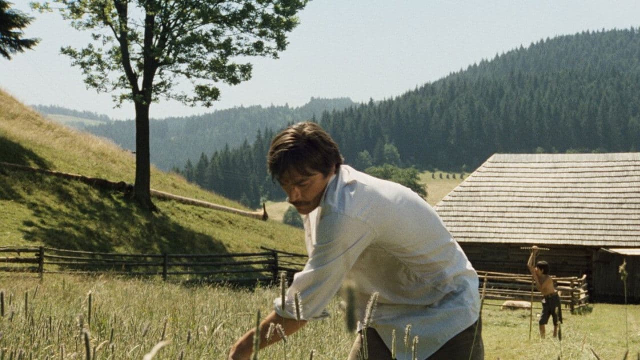 Backdrop – Schatten eines heißen Sommers