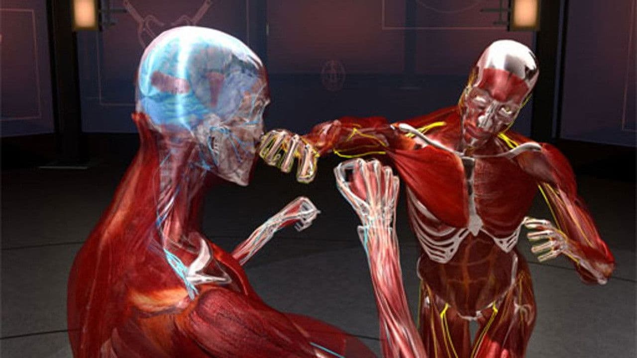 Backdrop – Fight Science