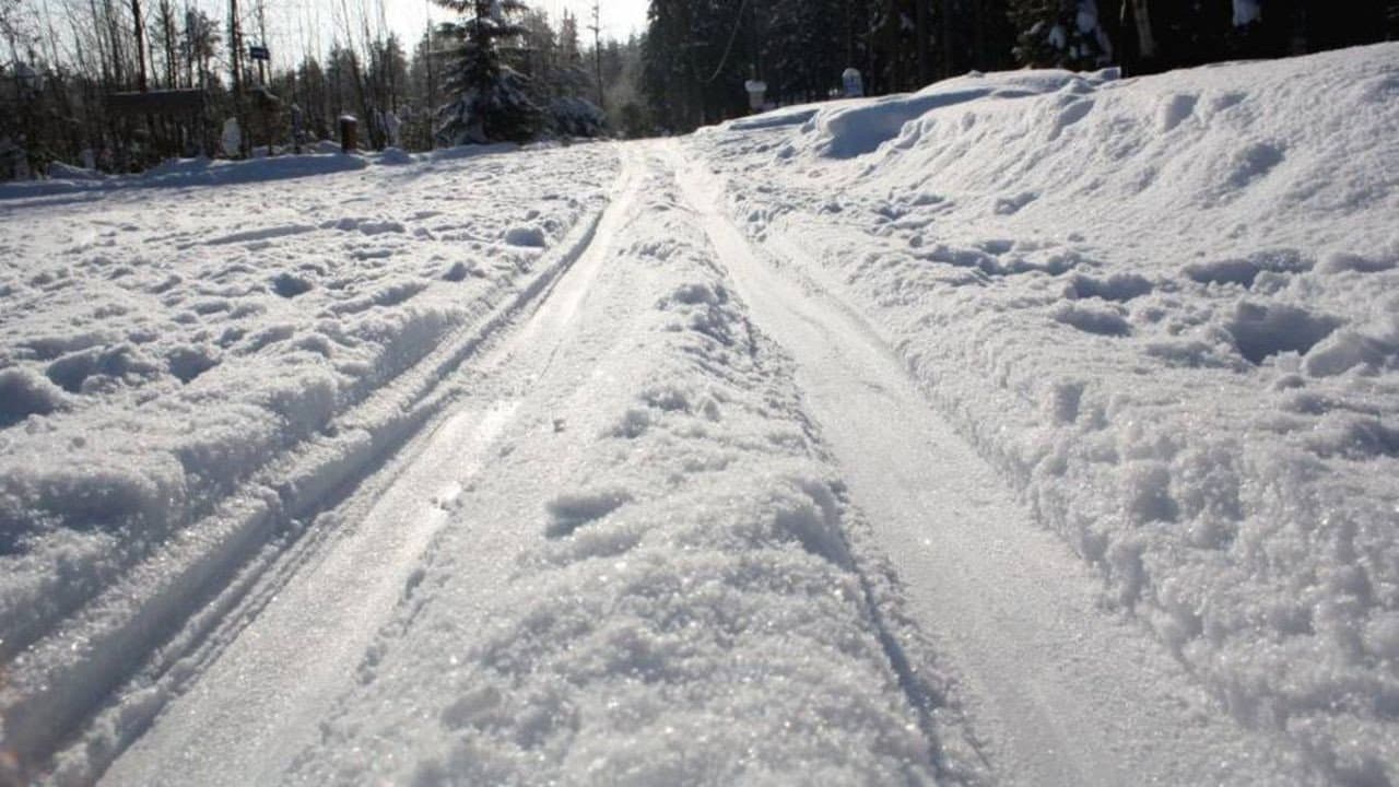 Backdrop – Sinivalkoinen valhe