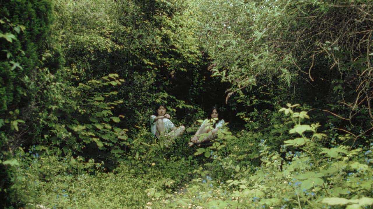 Backdrop – My Sister Is a Butterfly