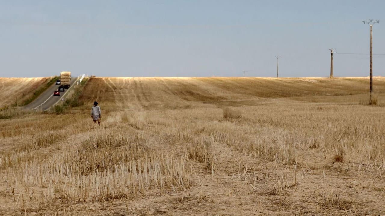 Backdrop – La grâce du sillon