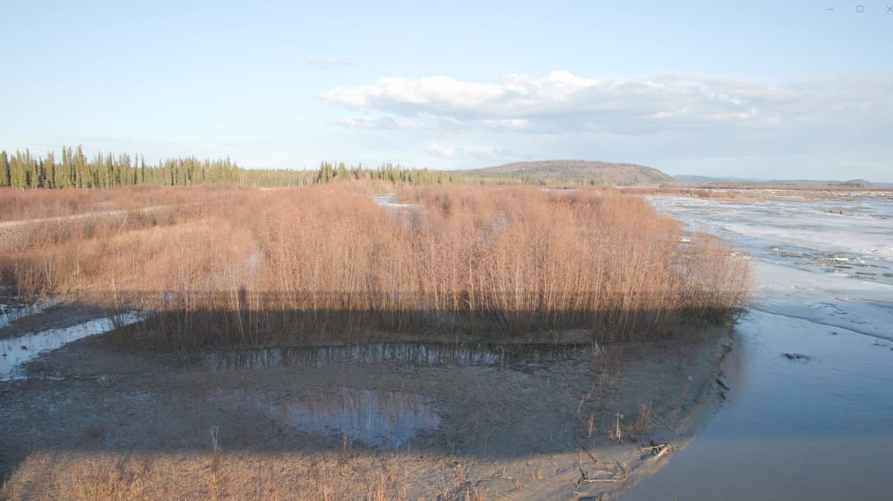 Backdrop – The Story of a Slough