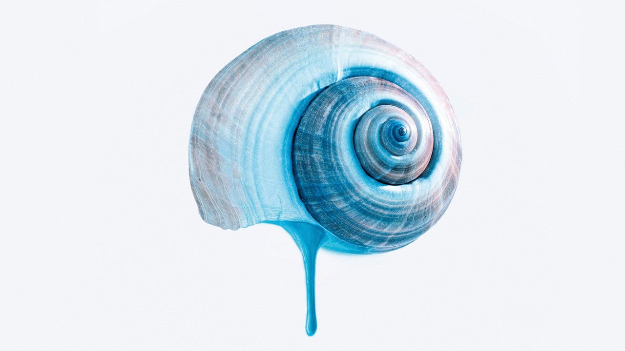 Backdrop – Das tiefste Blau