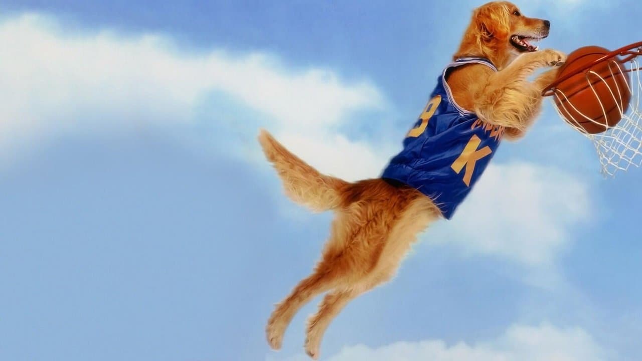 Backdrop – Air Bud - Champion auf vier Pfoten