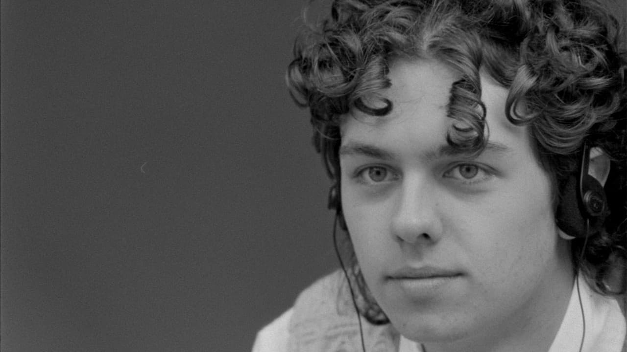 Backdrop – Butterflies