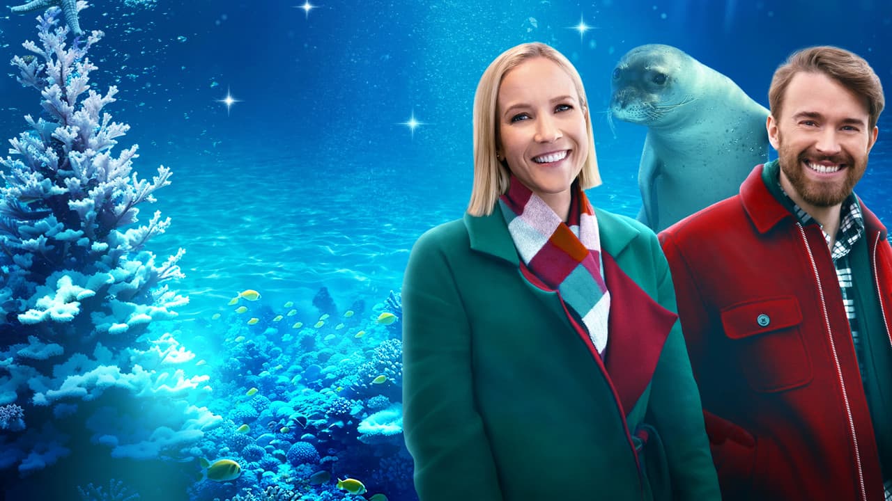 Backdrop – Seaside Christmas – Ein Seehund zum Fest