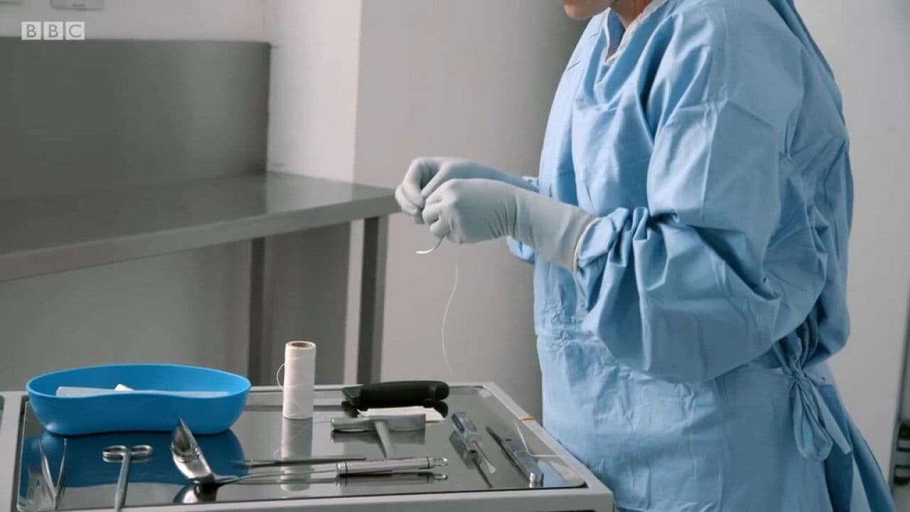 Backdrop – Obesity: The Post Mortem