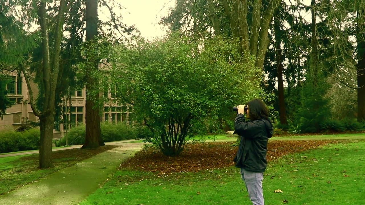 Backdrop – A Man Finds Binoculars