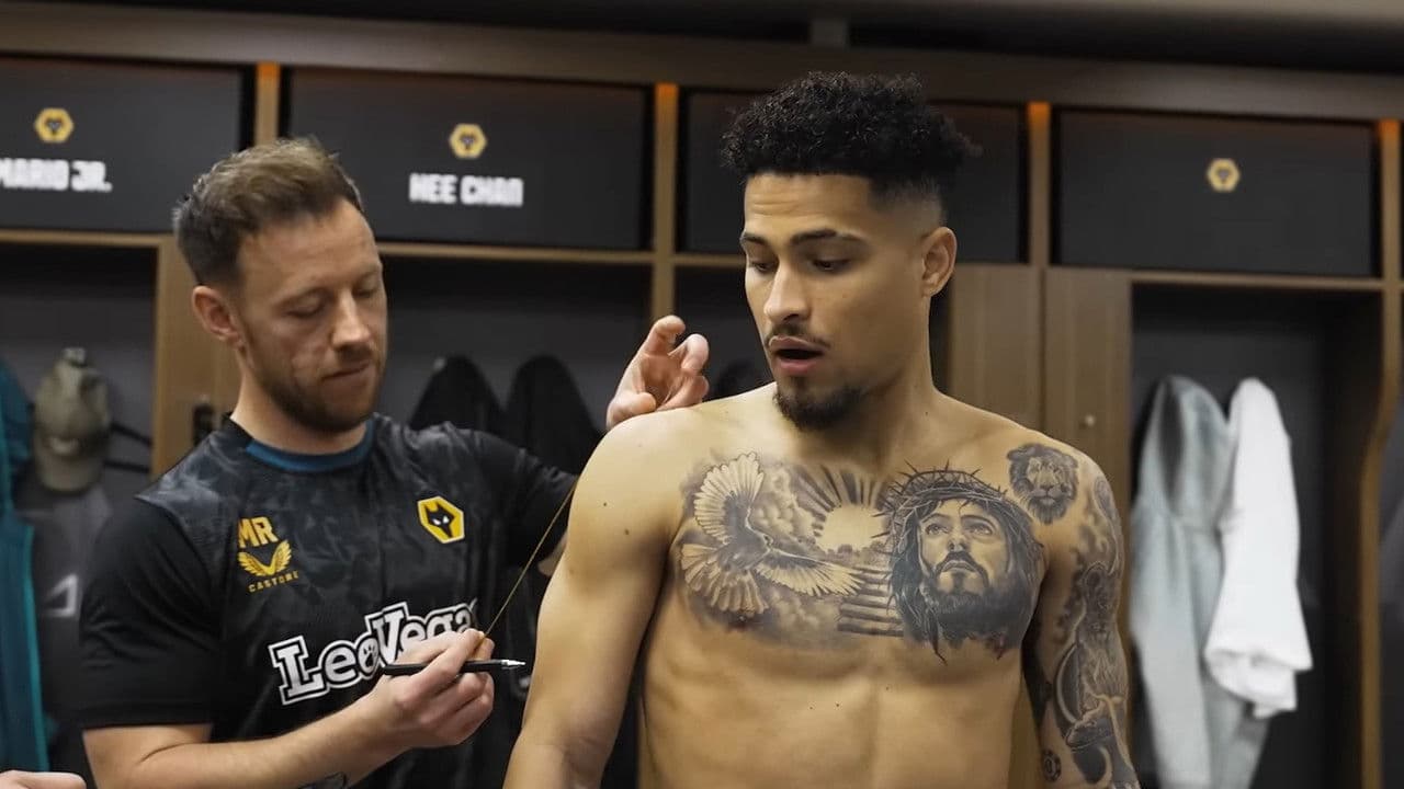 Backdrop – Joao Gomes: The Pitbull