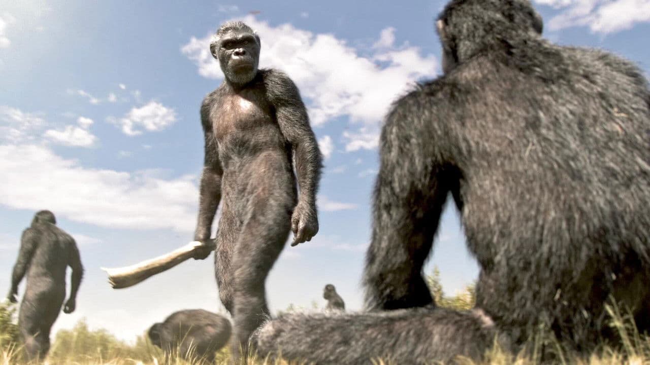 Backdrop – Out of the Cradle