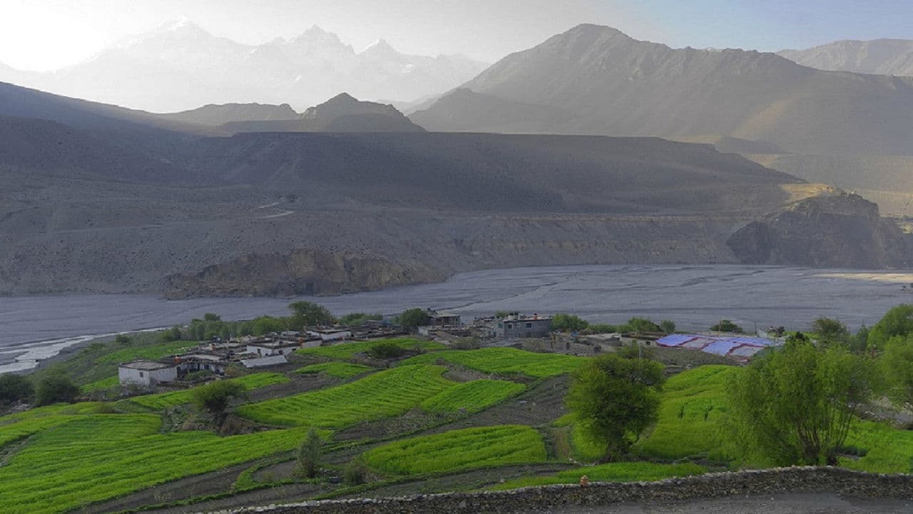 Backdrop – Blue Kangling