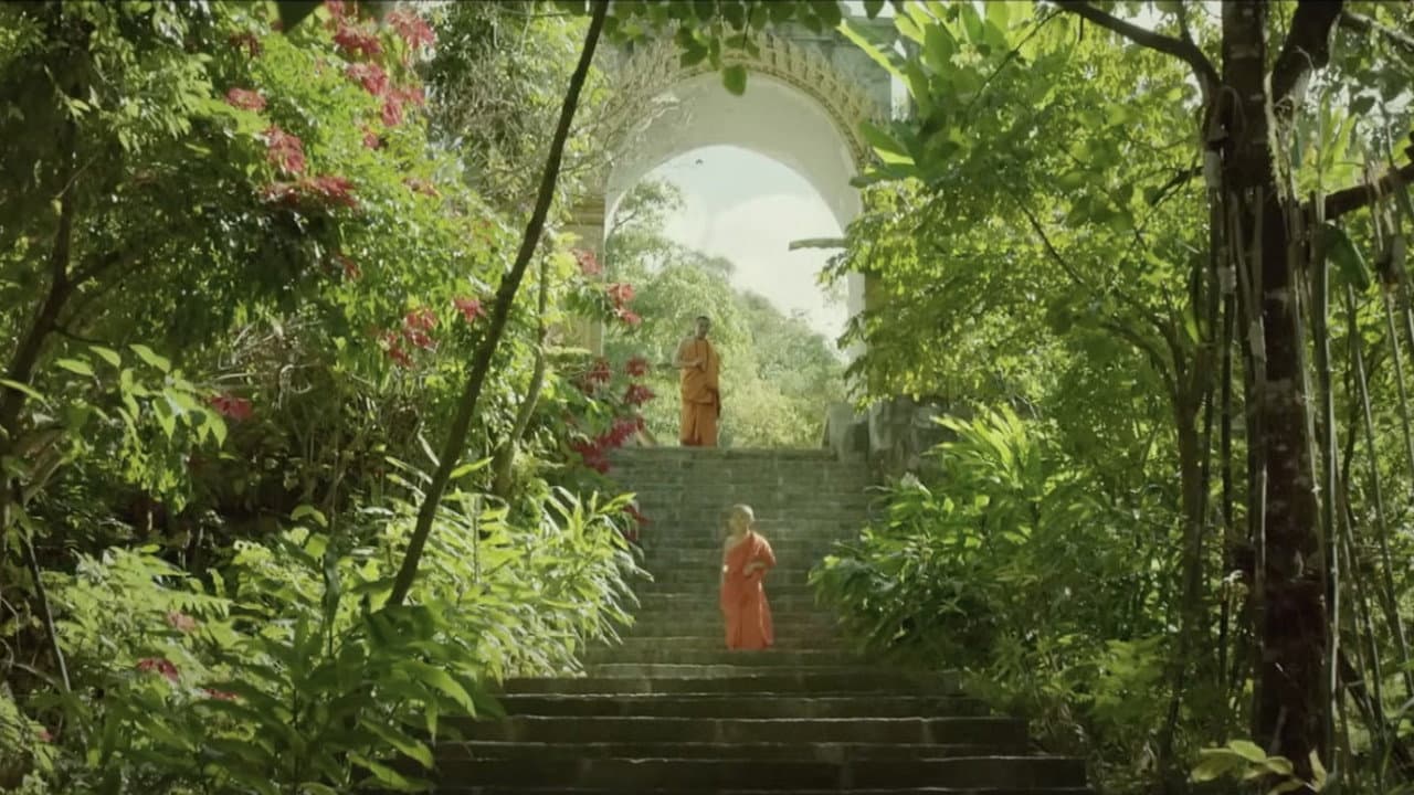 Backdrop – 万物有灵