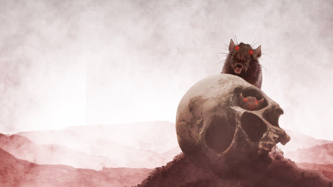 Backdrop – Stephen King’s Nachtschicht