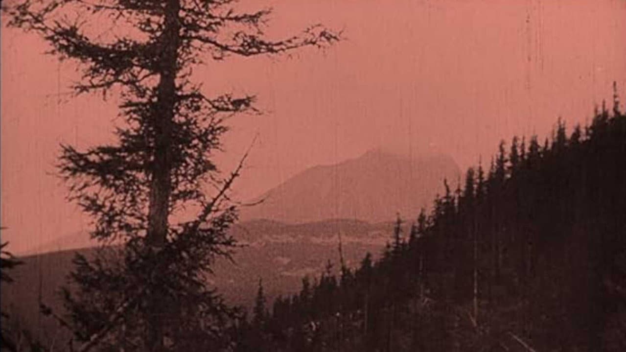 Backdrop – Castele misterioase din Carpați