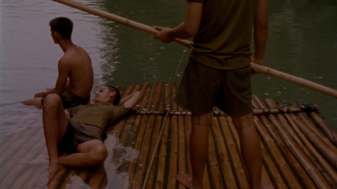 Backdrop – Jungle Love