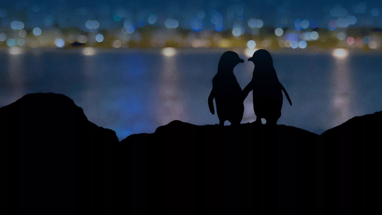 Backdrop – Meet the Penguins