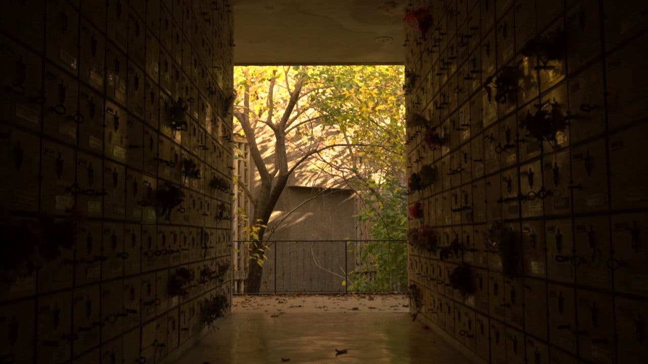 Backdrop – Santuario