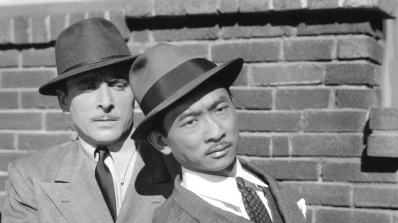 Backdrop – Panama Patrol