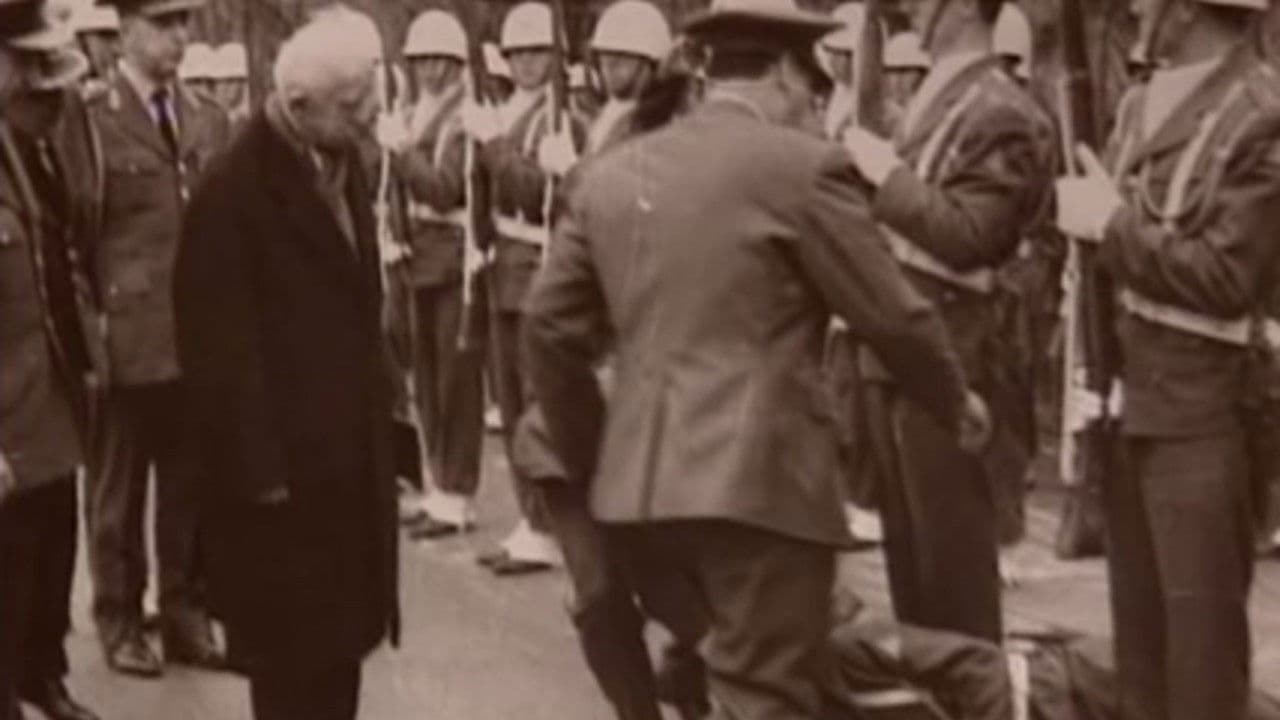 Backdrop – 12 Mart: Albay