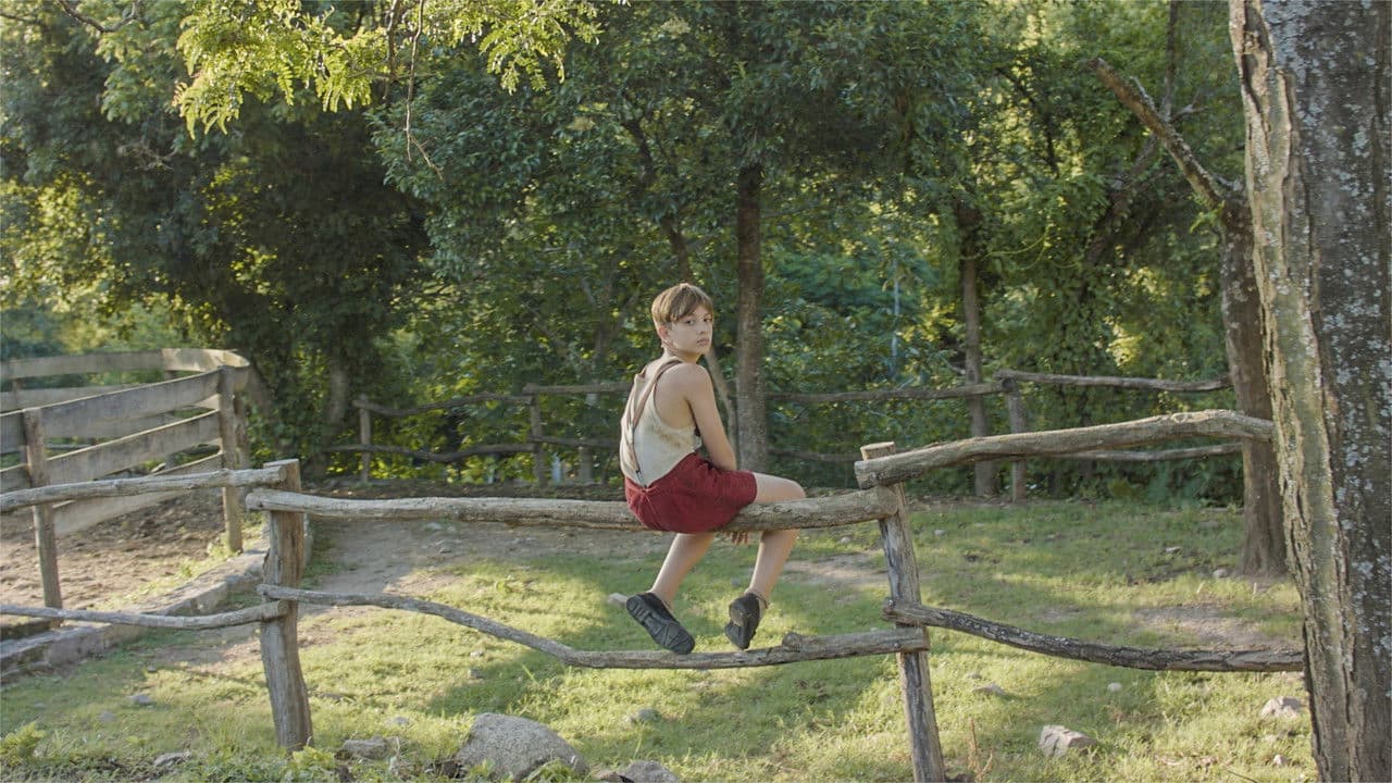 Backdrop – Cordero de Dios