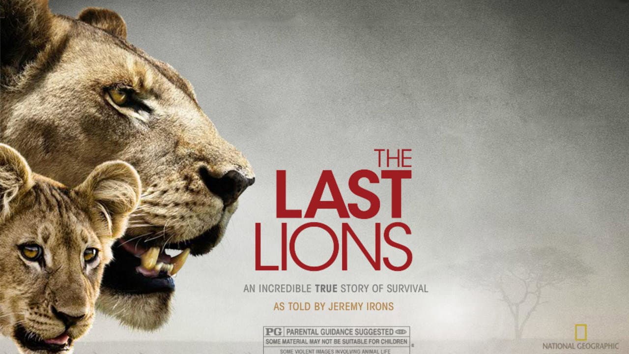Backdrop – The Last Lions