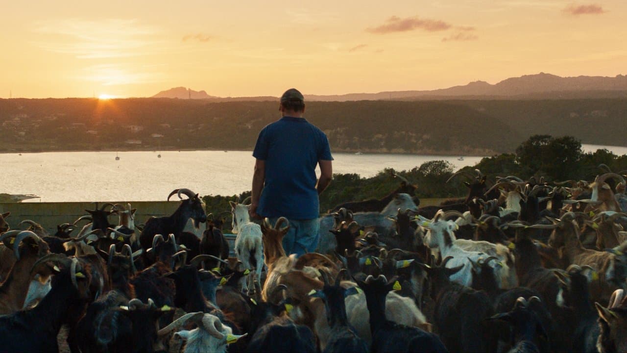 Backdrop – The Mohican