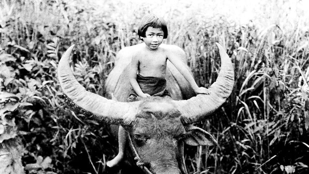 Backdrop – Chang: A Drama of the Wilderness