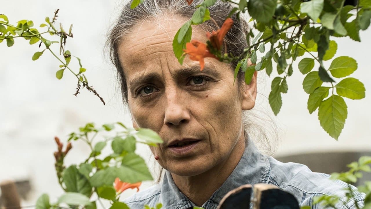 Backdrop – Der Eindringling