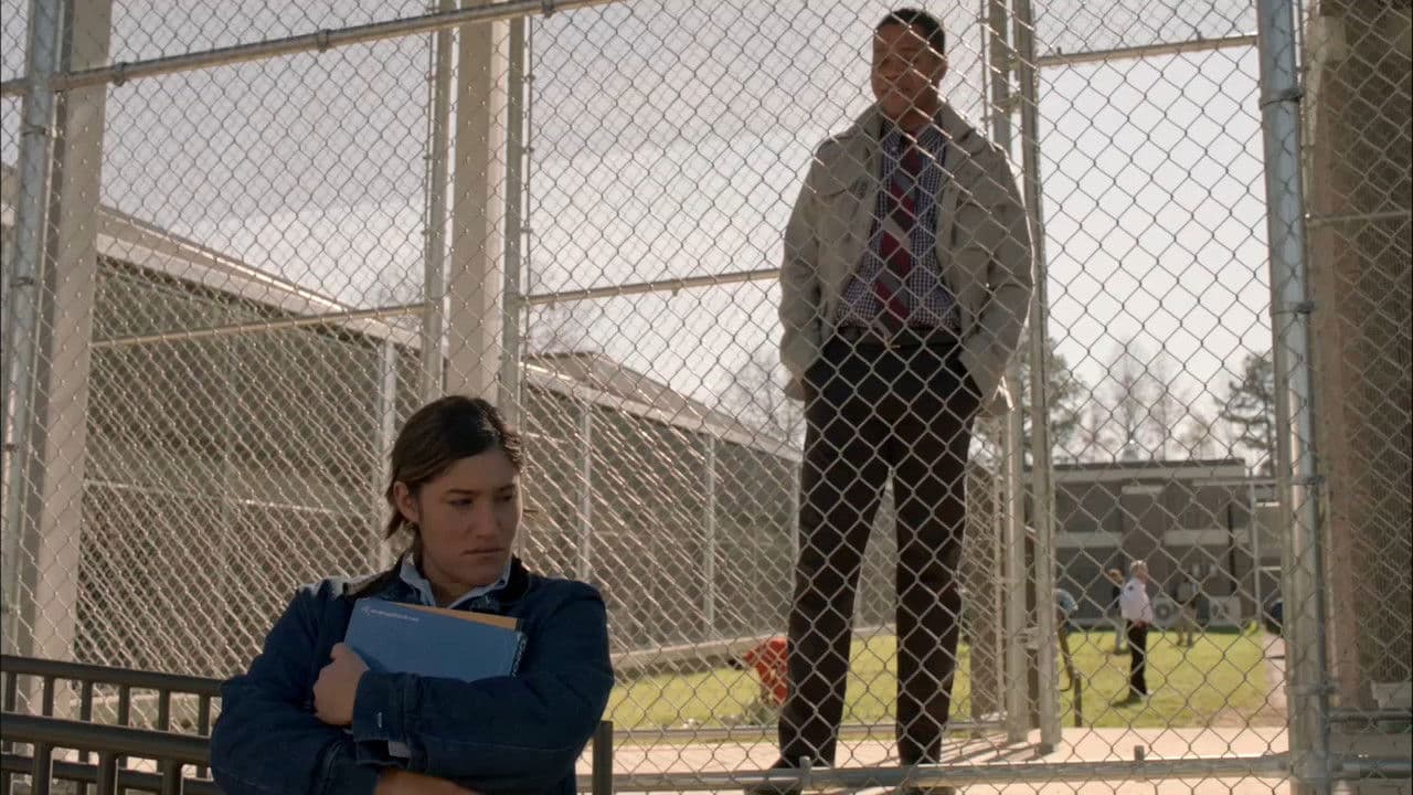 Backdrop – Firelight