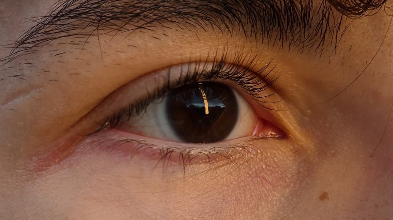 Backdrop – Bon Vivant