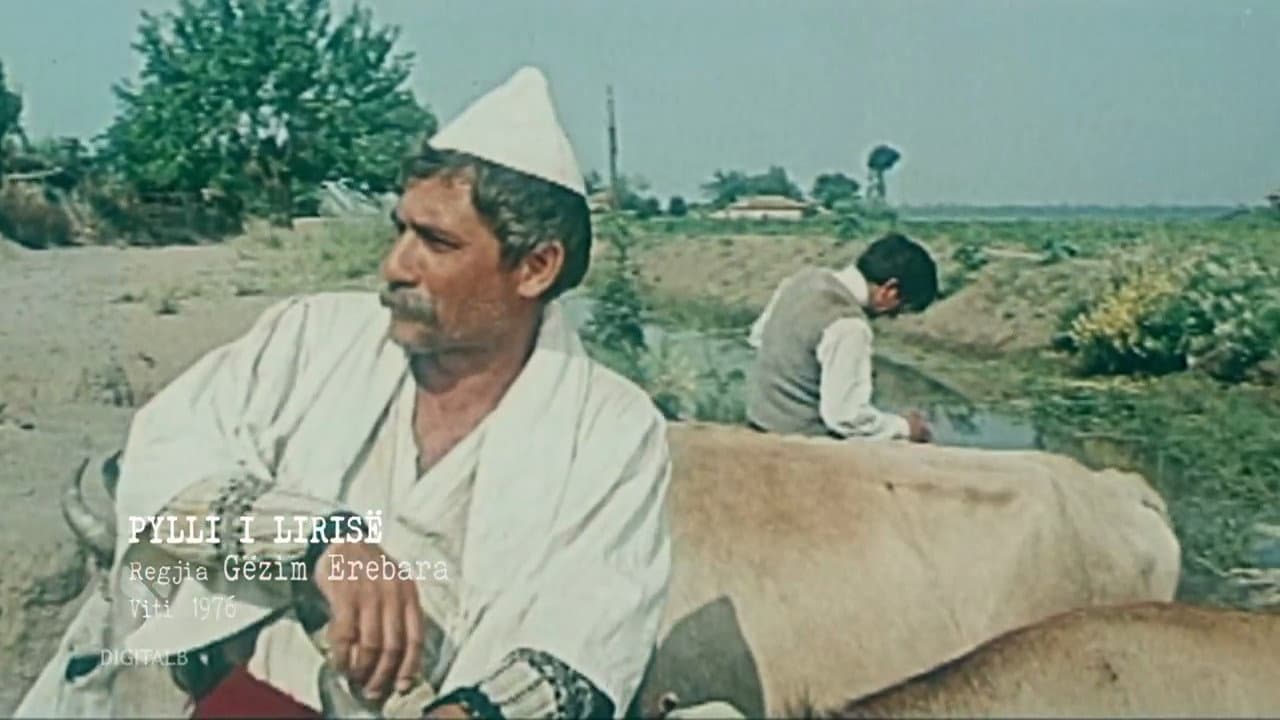 Backdrop – Pylli i lirisë