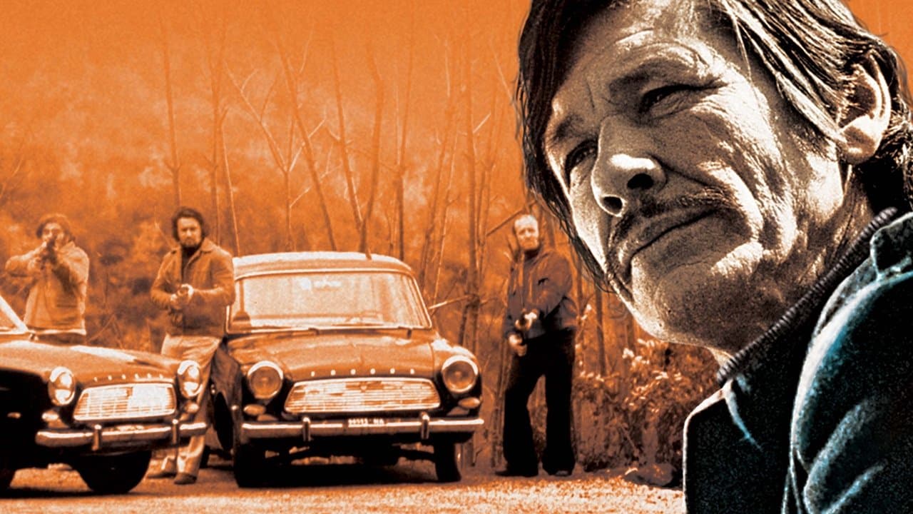 Backdrop – Kalter Hauch