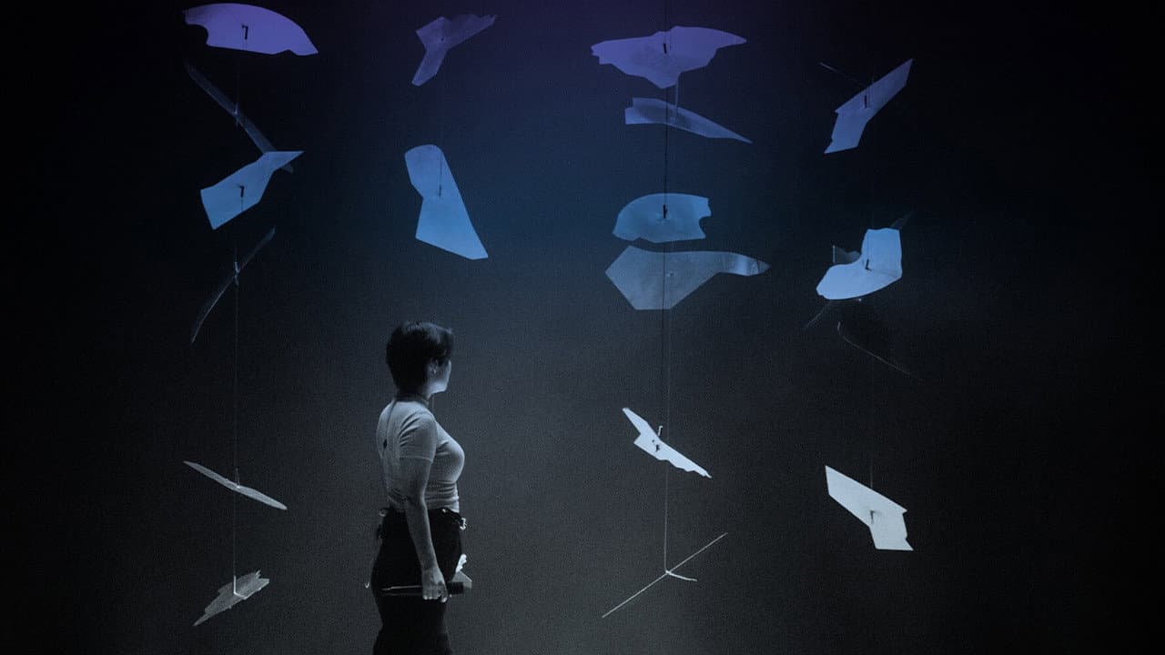 Backdrop – Mitski: The Land