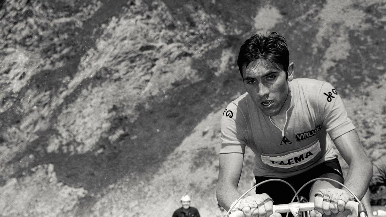Backdrop – 1969 - Following Merckx
