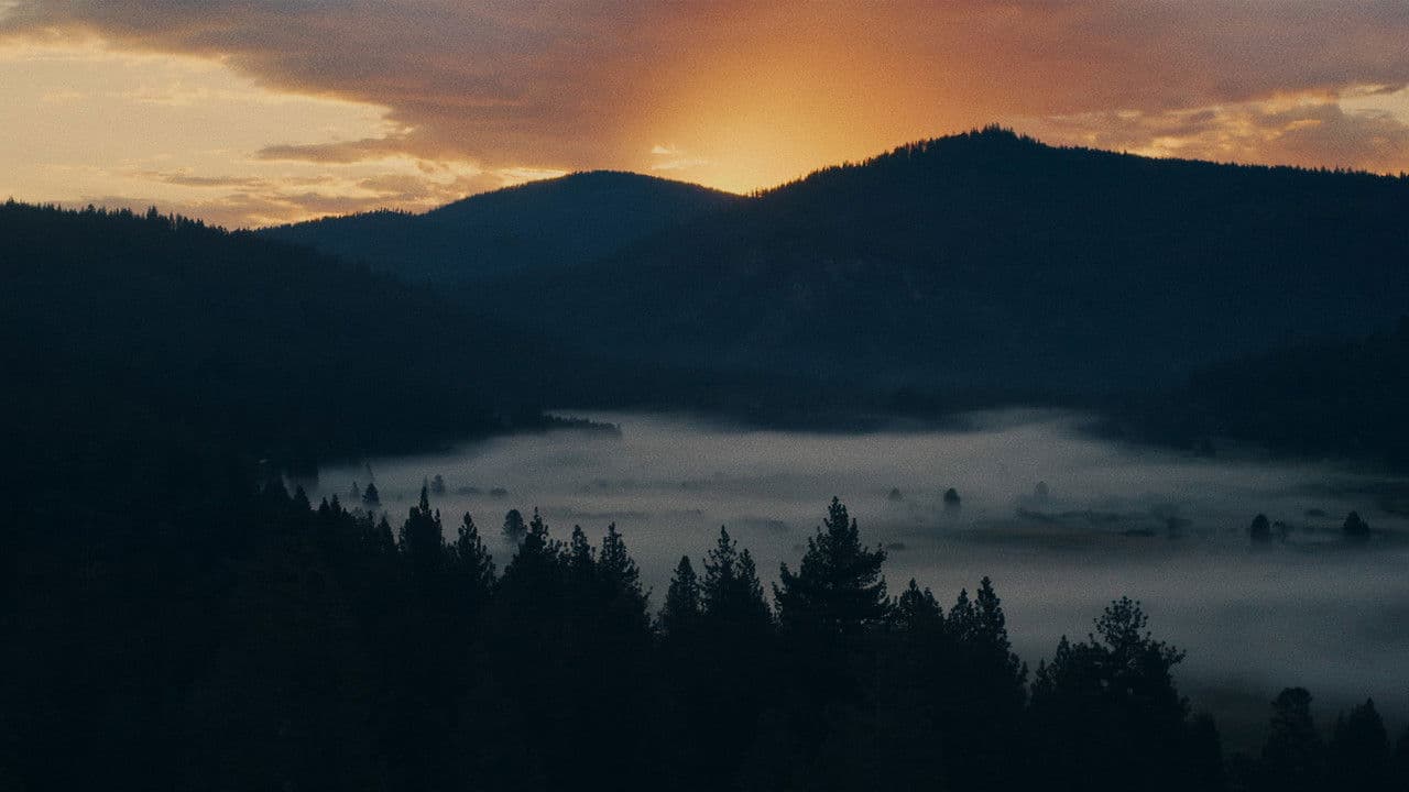 Backdrop – Dreama Team