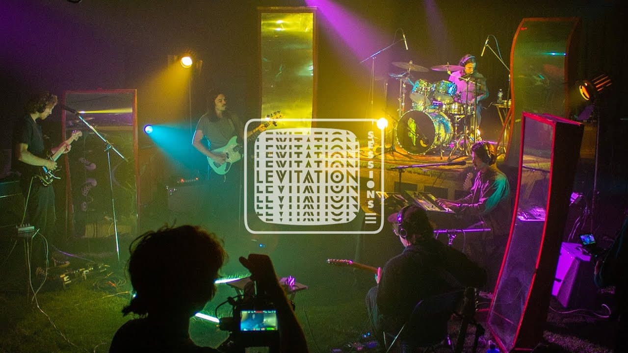 Backdrop – Post Animal - Levitation Sessions