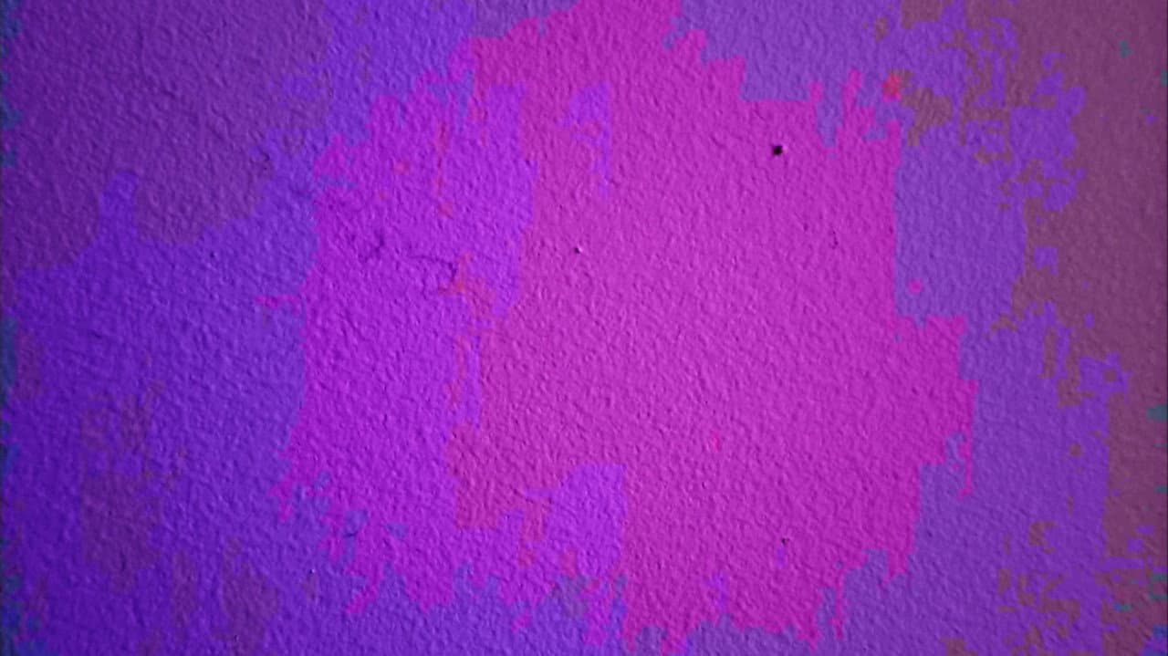 Backdrop – a tiny bug crawls across a wall
