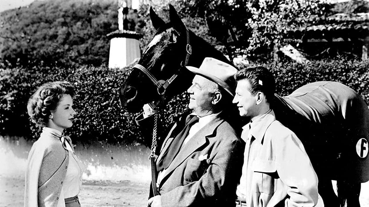 Backdrop – Francis Covers the Big Town