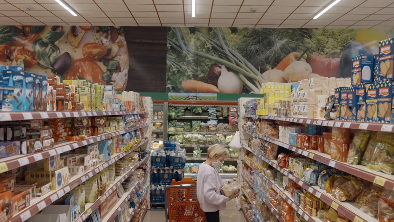 Backdrop – Petricor