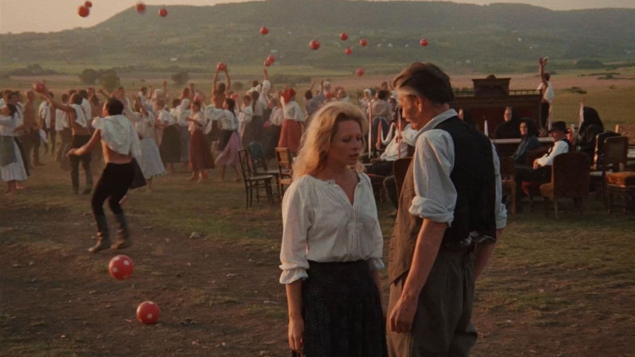 Backdrop – Allegro Barbaro