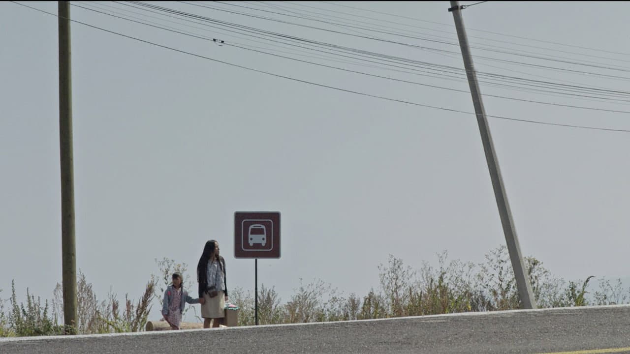 Backdrop – Se Llama Flor