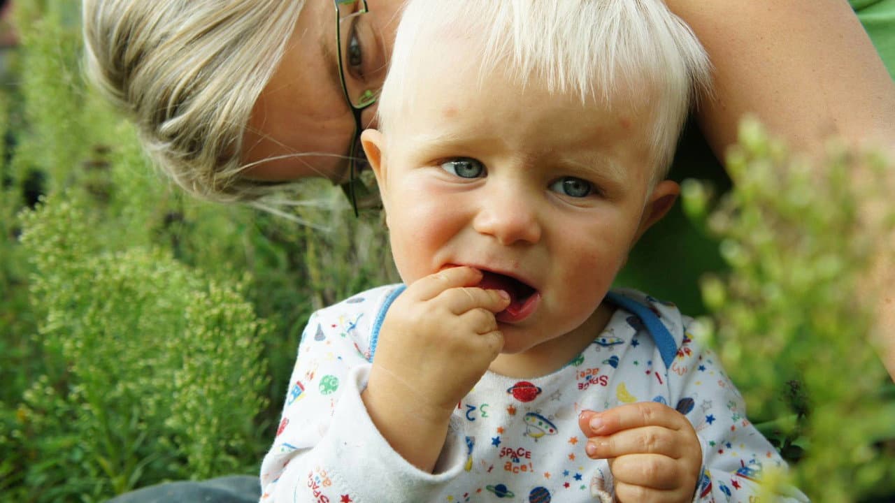 Backdrop – Nerodič