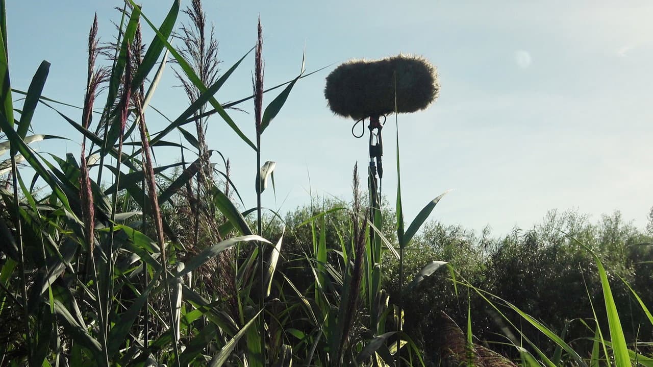 Backdrop – In a Silent Way