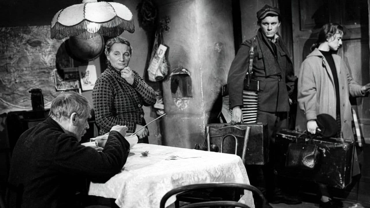 Backdrop – Zimowy zmierzch