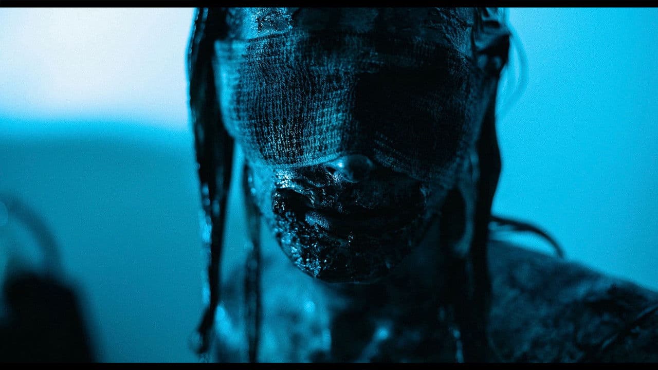 Backdrop – Flesh Dream