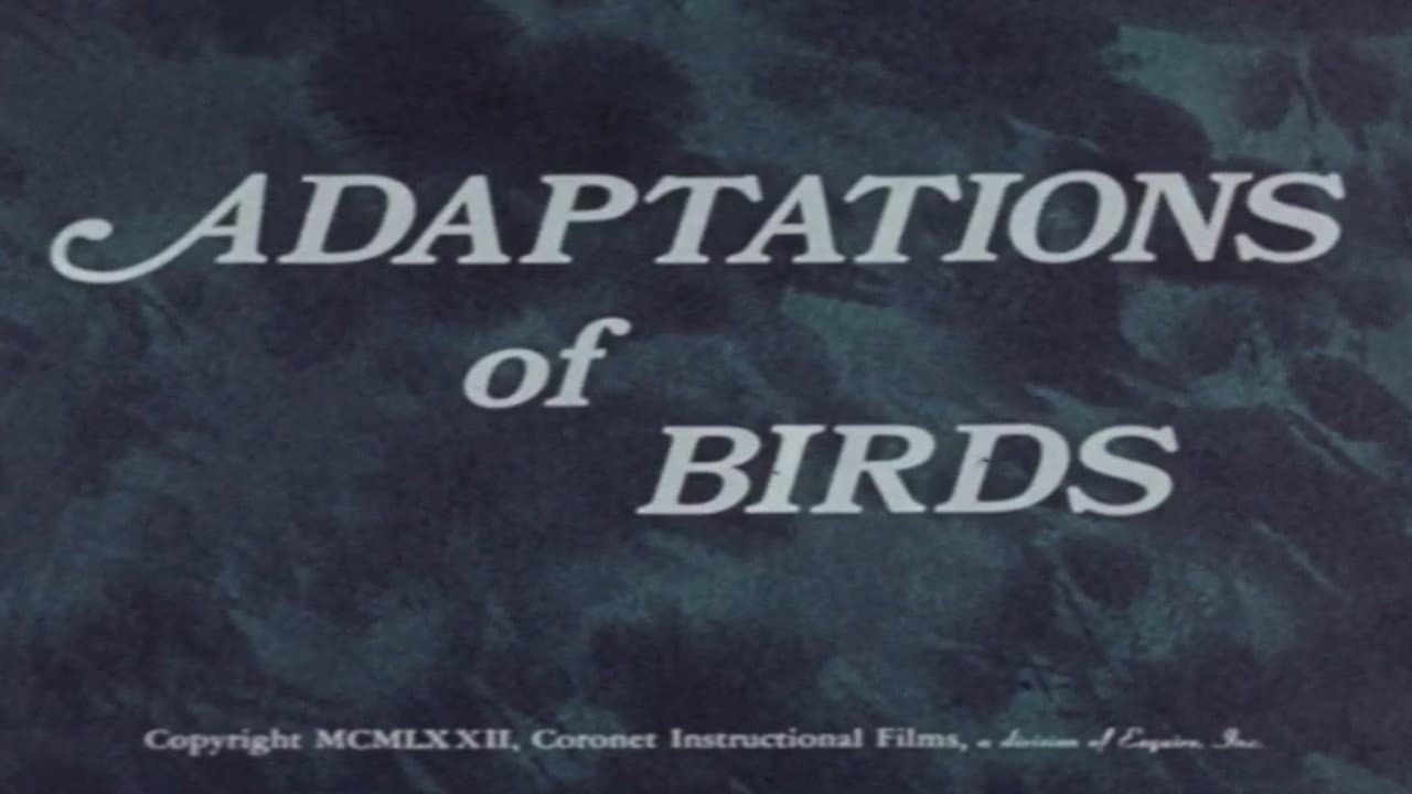 Backdrop – Adaptations of Birds
