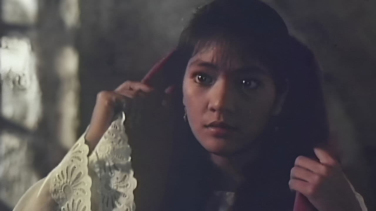 Backdrop – Virgin Forest