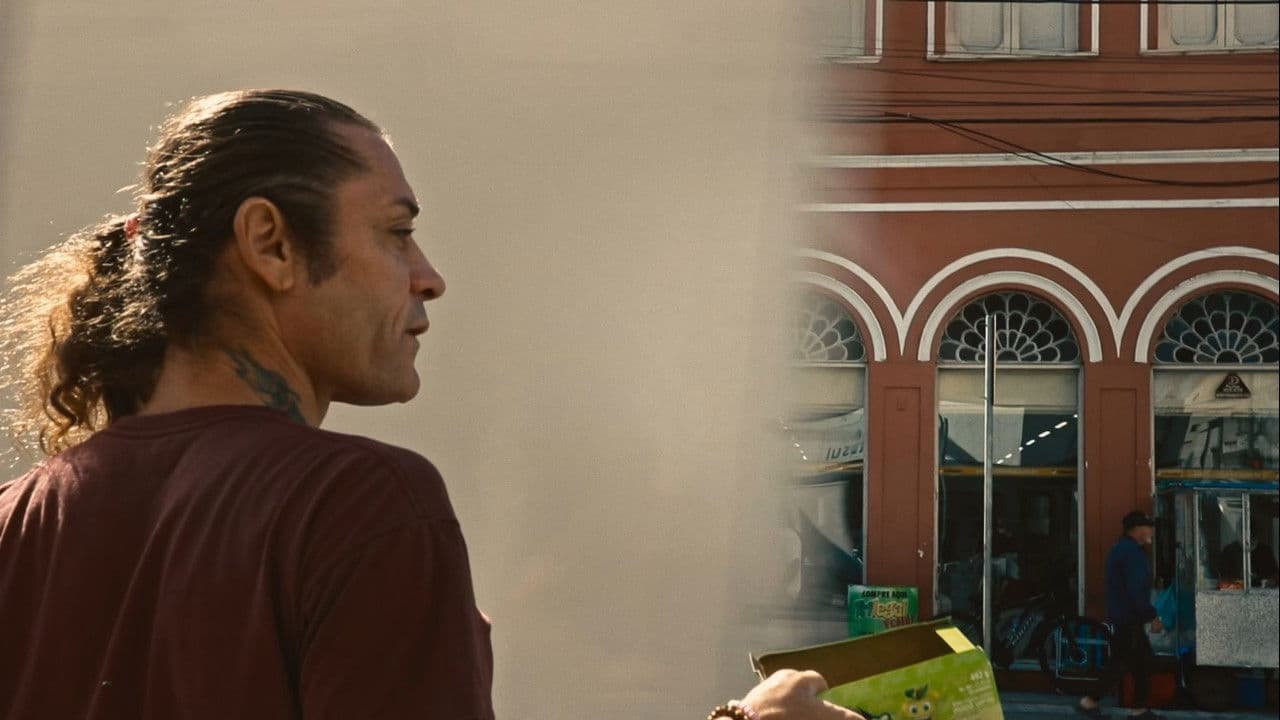 Backdrop – Sara na Osório