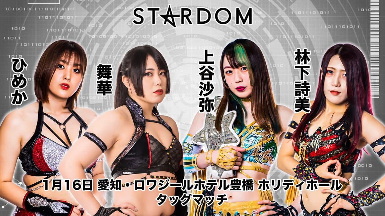 Backdrop – スターダム豊橋大会