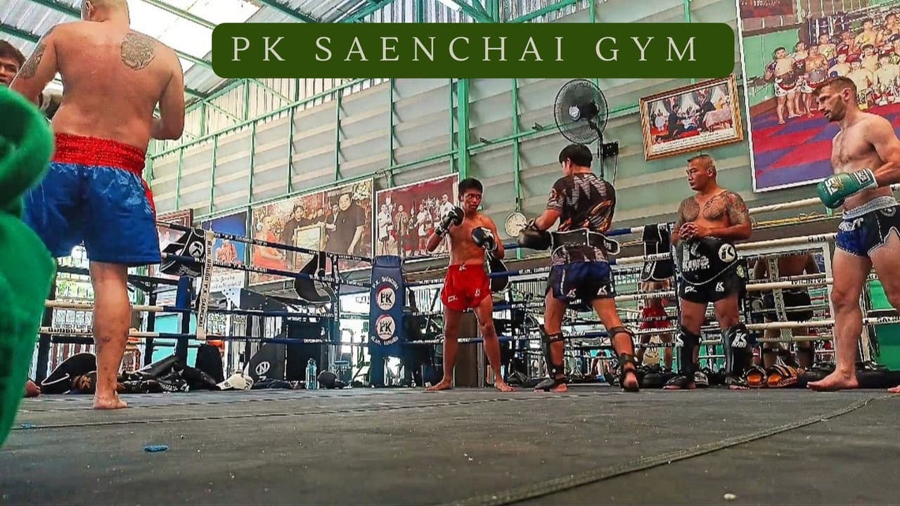 Backdrop – Pk Saenchai Gym